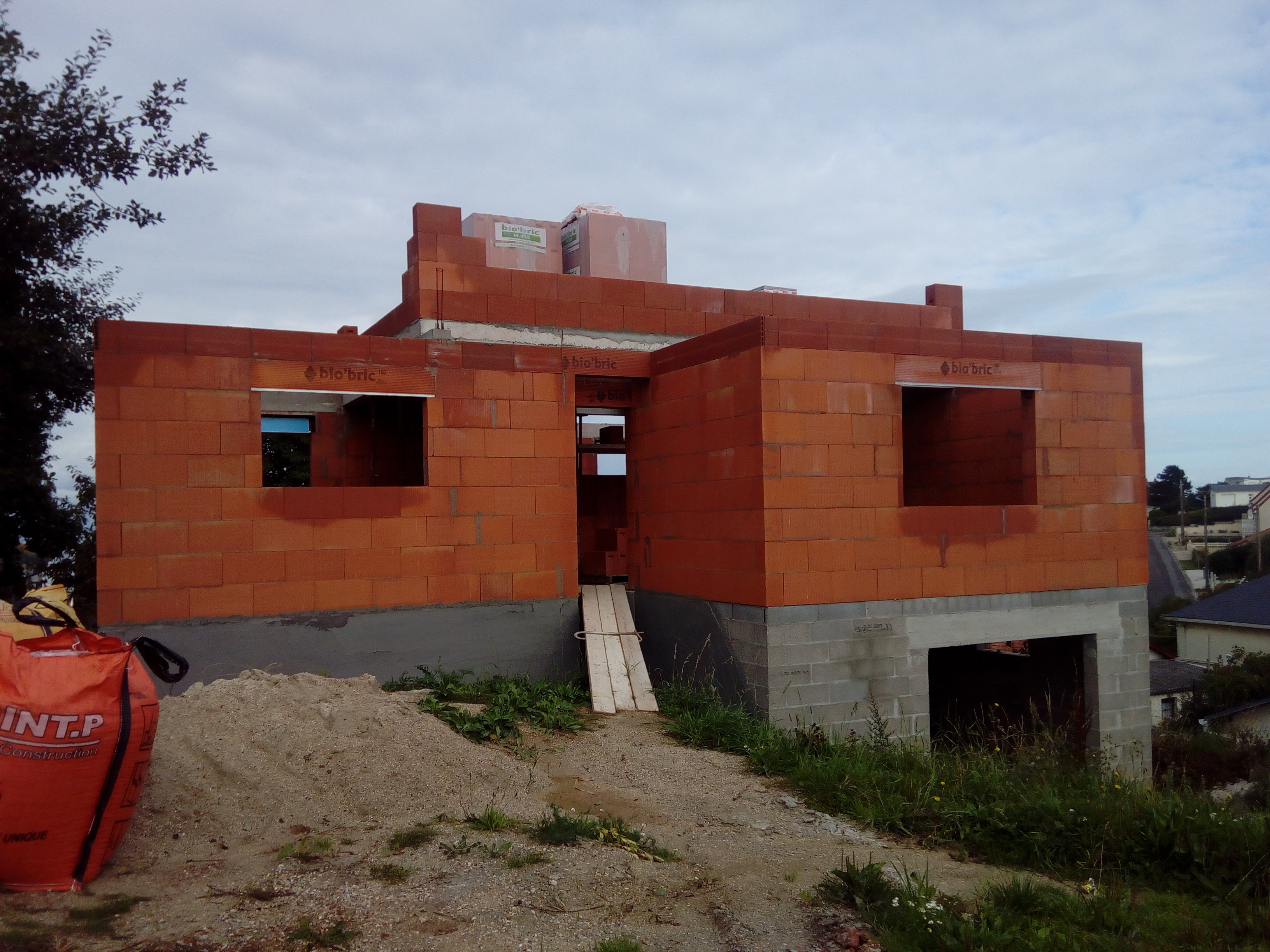 DF 001.jpg